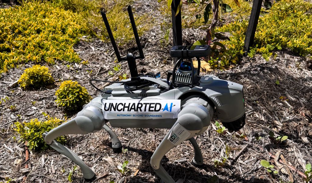 This picture shows a robot in uneven terrain.